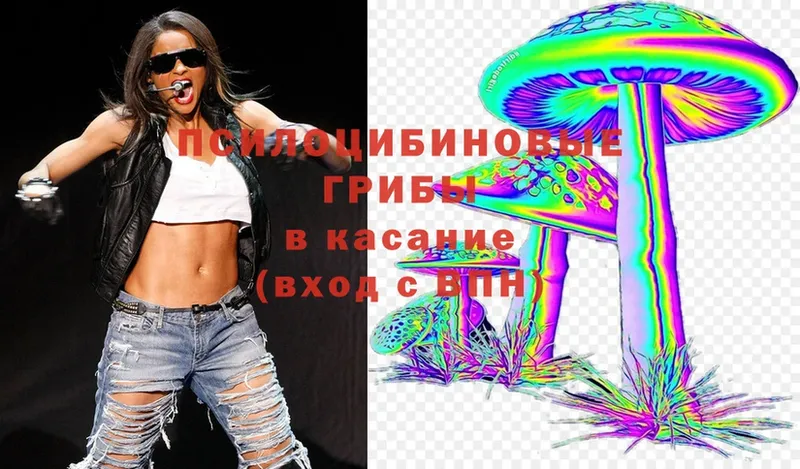 Псилоцибиновые грибы Cubensis  Конаково 